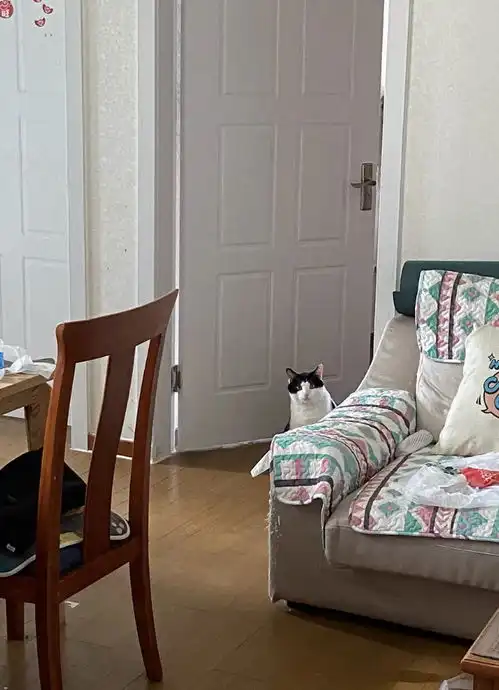 舒服两室求室友1号线莲花路,限女孩子