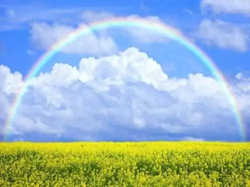 10岁女孩融美貌钱智慧为一体,成绩倒数,家长女孩无所谓