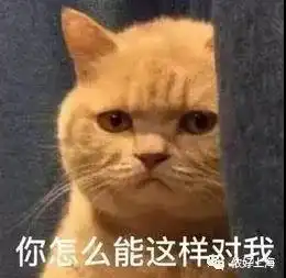 12岁男孩离家出走,妈妈不追还塞他200块钱和小情人撕破脸的滋味真是