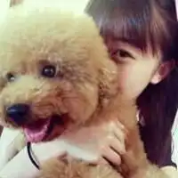 qq头像给花的都是美女女生意境