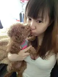 三石哥敢不敢给我来几件极品装备