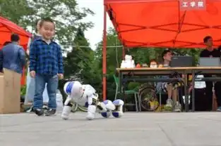 有料清华北大设人工智能新专业任正非谈与美国竞赛