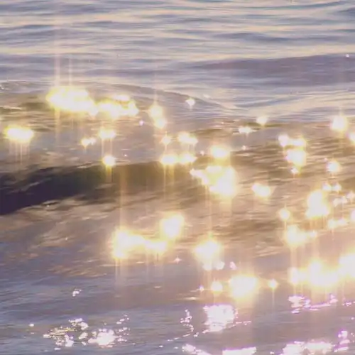 卷首望向天空的人