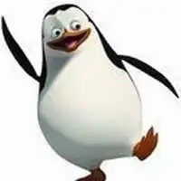 马达加斯加的企鹅头像