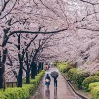 唯美图片大全唯美意境图片带文字唯美的图片女生腾牛个性网