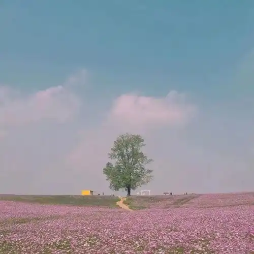 美图文案诗词句