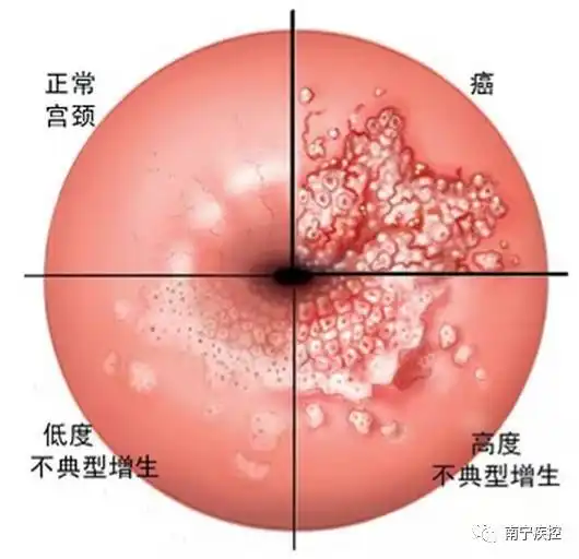 45岁女性微信头像图片大