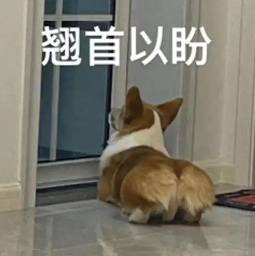 4月,这个星座锦鲤附体,一往无前