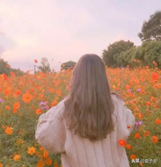 合适的季节吃合适的瓜,合适的时间遇见合适的人