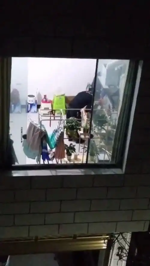 对面的兄弟每天早出晚归拼命挣钱,却没女孩子珍惜,现在这个社会怎么了