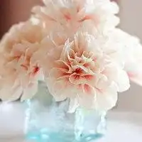 头像图片大全唯美花微信头像图片大全