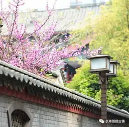 如果我有一个院子