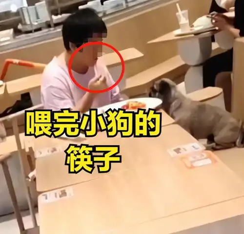 女子在餐厅与宠物狗共用餐具网友一起用餐一起睡觉