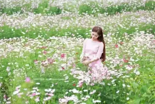 浅墨素笺抒离愁