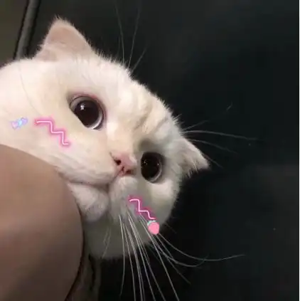 女生头像带花真人聪明的