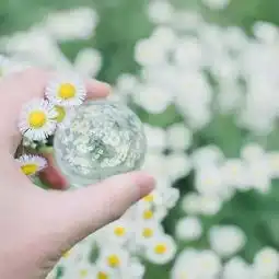 五月,一路繁花相送