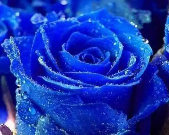 黑发女生气质头像蓝色妖