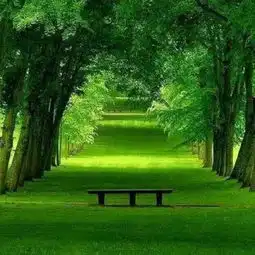 ir3402佳楠陪审团视频直播全集ir3402佳楠陪审团资料大全yy官方