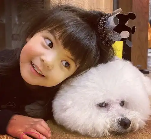 贾静雯爱犬因病住院,女儿不远万里回来探望,曾用5千元宠物碗