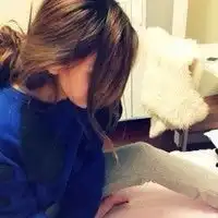 忙命天涯不如回家