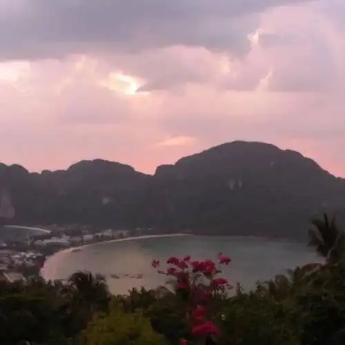 背景图丨总不能因为杯子碎了就不再喝酒了吧