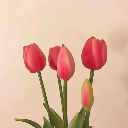 抖音高能的唯美情话,浪漫至极,让人无法抗拒