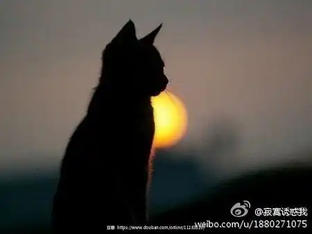 那些年,我们用作头像的图片
