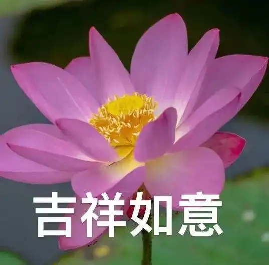 想开了,甚荷我意