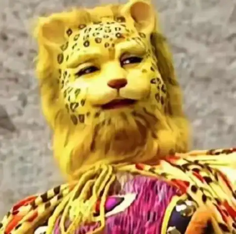 新年到豹豹来报道