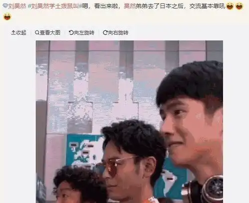 四杨双丽碾压刘亦菲顶级女星被爆隐私辣手报复千玺同框