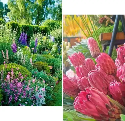 青怡坊国际花卉园艺展暨中法文化月正式启幕