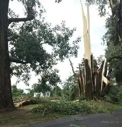 25张罕见的照片,看到就是赚到
