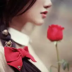 谁能帮我把图弄到240x240