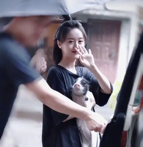 知名女星宠物走丢,助理前去寻找情绪失控,与路人当街发生争吵