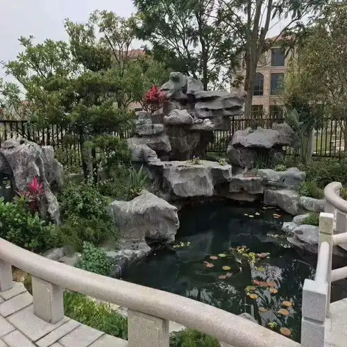 图进口锦鲤批发零售,鱼池承建成都花鸟鱼虫