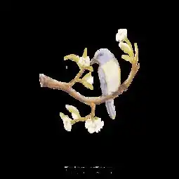 图片免费下载喜鹊花素材喜鹊花模板千图网