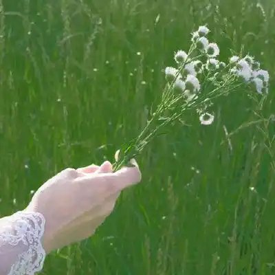 清新小仙女头像唯美