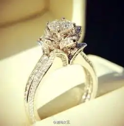 blingbling闪闪钻戒,心醉
