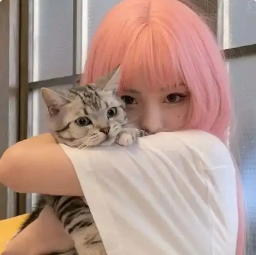 仙女头像女真人不露脸主