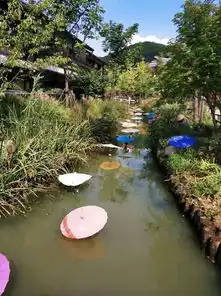 禅意十足的拈花湾