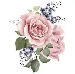 美翻20万株玫瑰邀你邂逅浪漫爱情青秀山玫瑰花展惊艳来袭