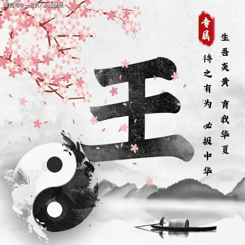 中国风姓氏头像来袭,24张太极黑白风格,打造你的专属标志