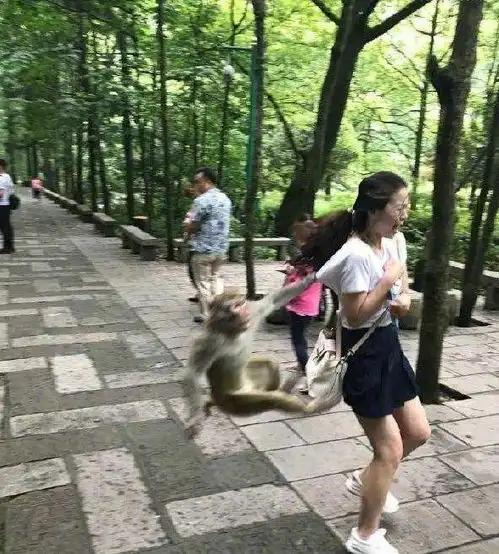 有哪些发明,背离了它设计的初衷网友家庭地位一见高下