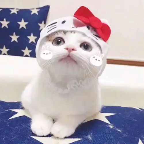 可爱的女生头像微信头像