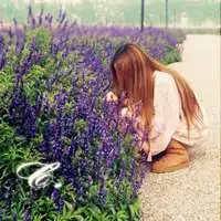 头像女真人背影薰衣草