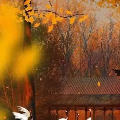 唯美微信风景头像手绘