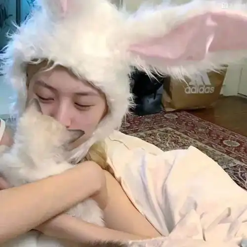 头像愿得一人心免得老相亲