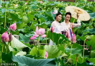 汉服女孩武汉东湖夏日赏荷