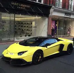 王思聪炫富很低调看看高调的世界顶级富二代