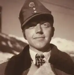 军人的荣耀二战德国军人之最,一元帅在列